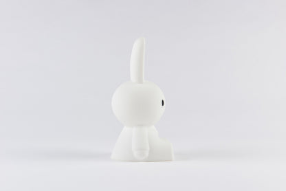 Mini Veilleuse Bundle of Light Miffy & Friends
