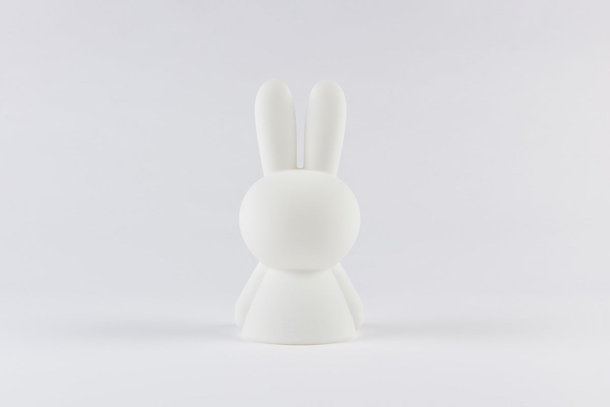 Mini Veilleuse Bundle of Light Miffy & Friends