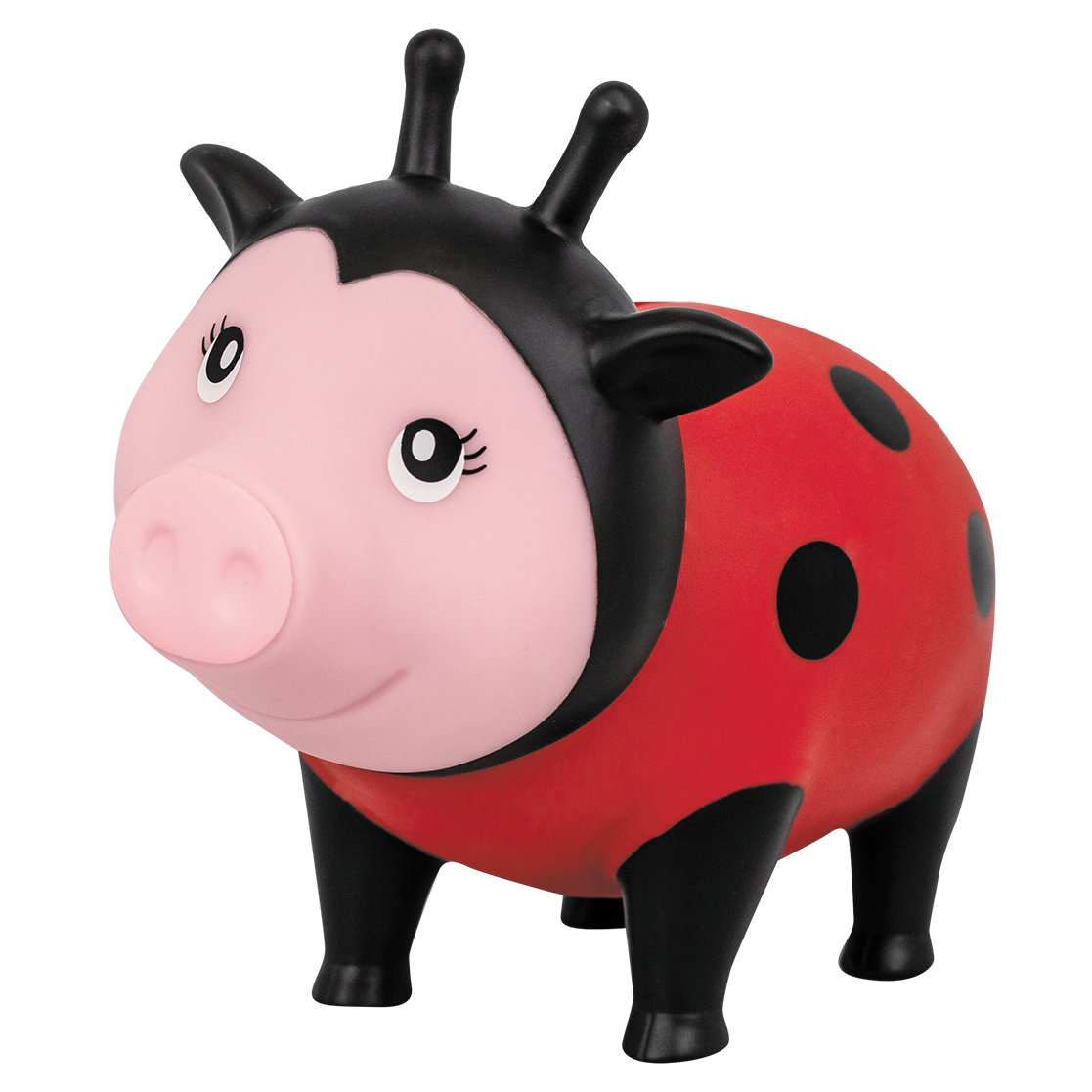 Cochon Coccinelle