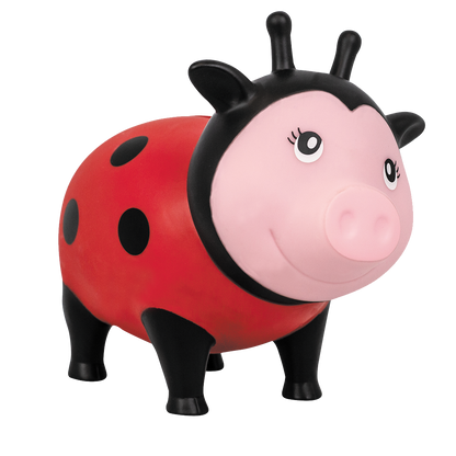 Cochon Coccinelle