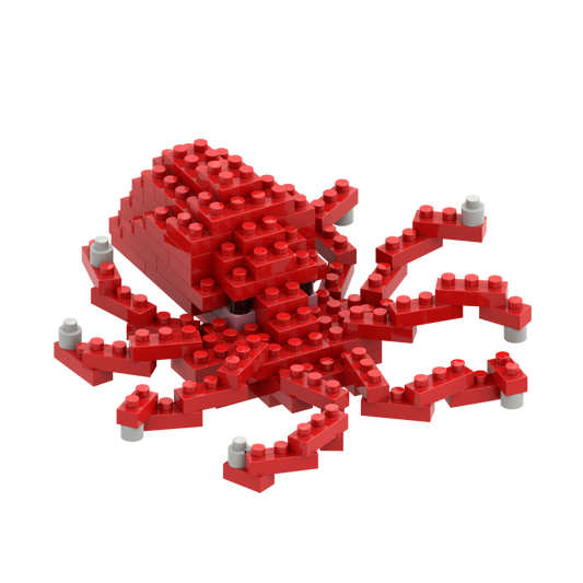 BRIXIES Grand poulpe