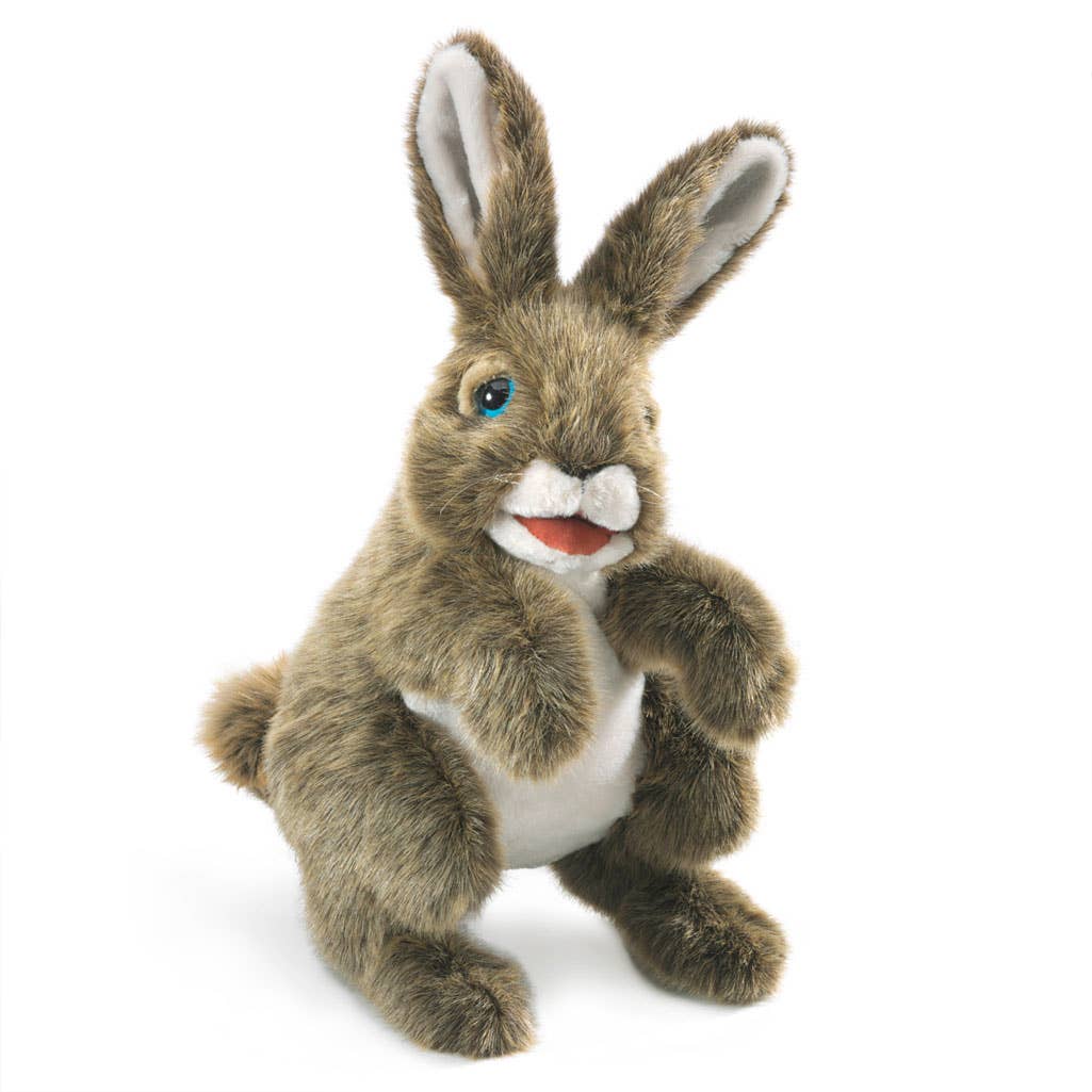 Marionnette à main Hase3164/Lièvre Folkmanis réaliste