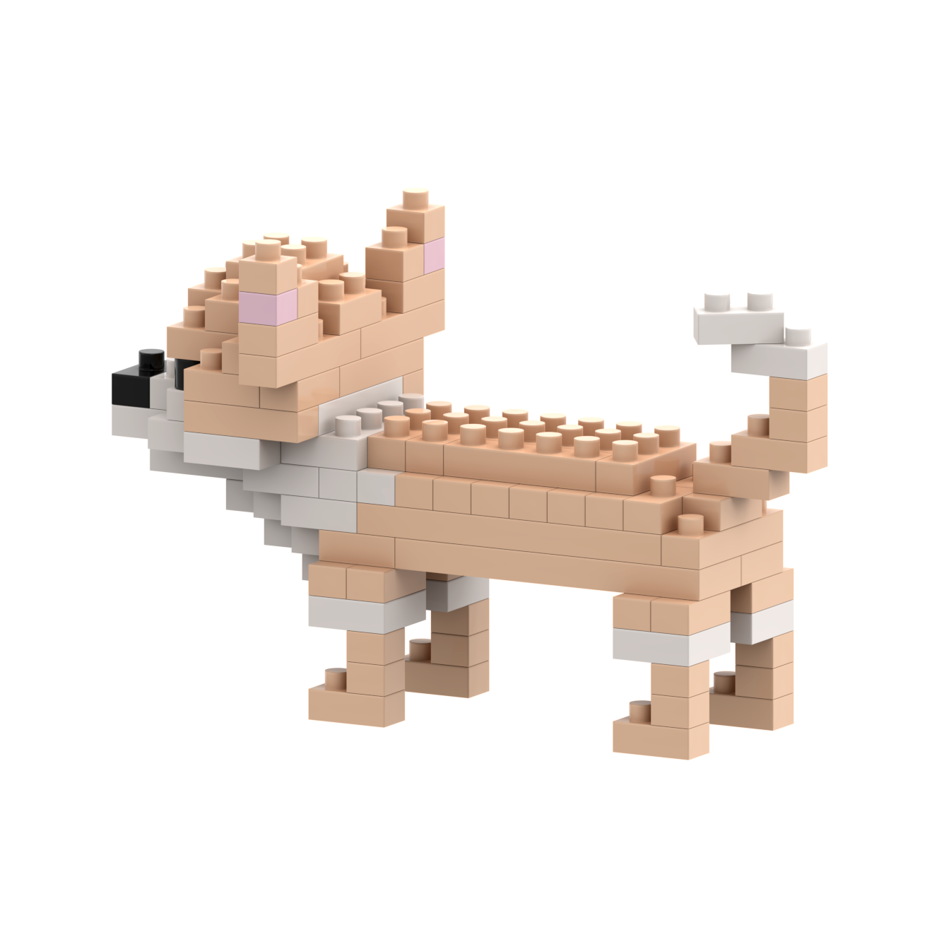 BRIXIES Chihuahua