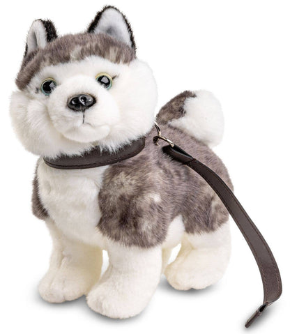 Peluche Chiot Husky avec Laisse Uni Toys