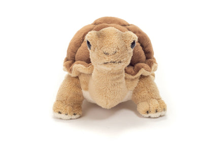 Peluche Tortue