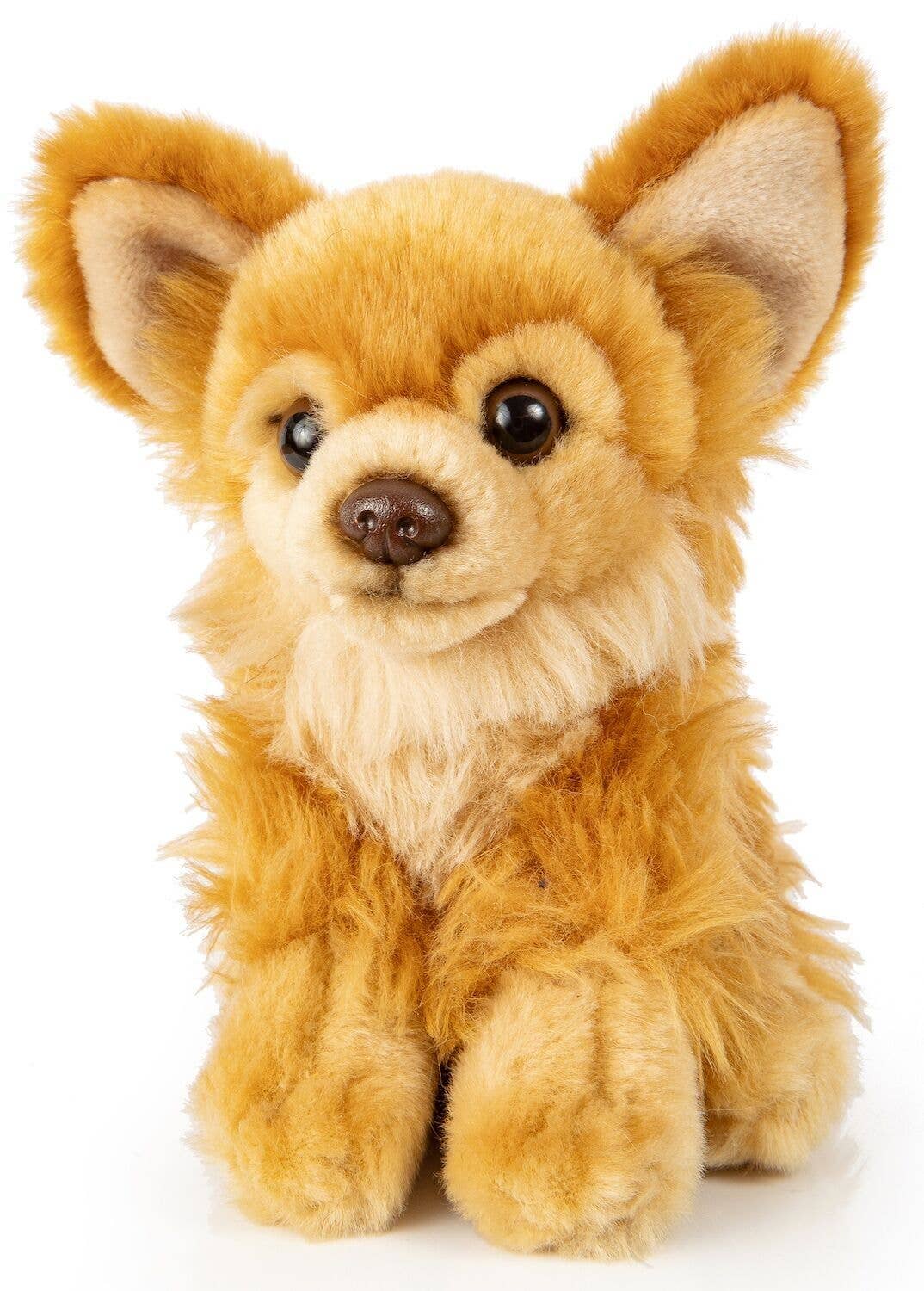 Peluche Chihuahua (brun)