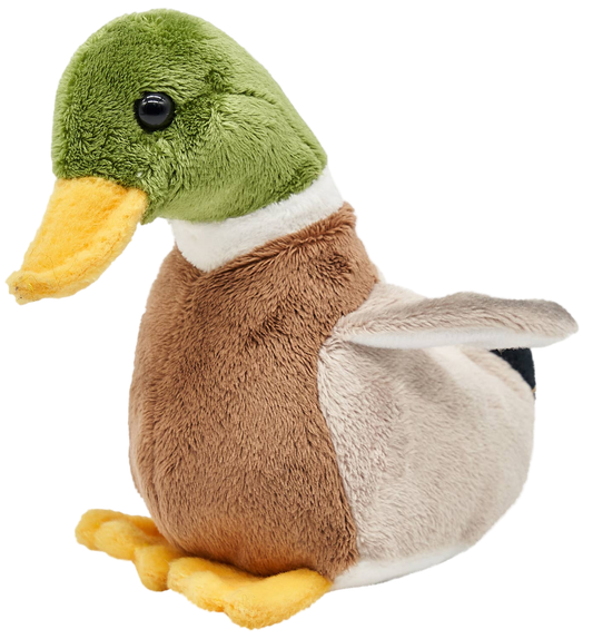 Peluche Canard Colvert