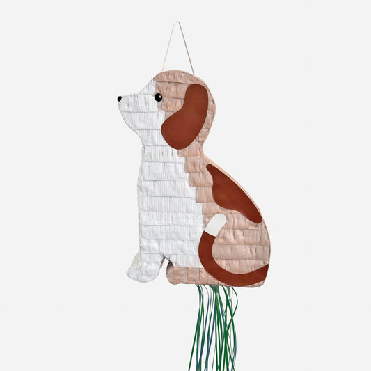 Piñata  chien