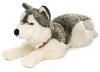 Peluche Husky, couché (avec harnais) Uni Toys