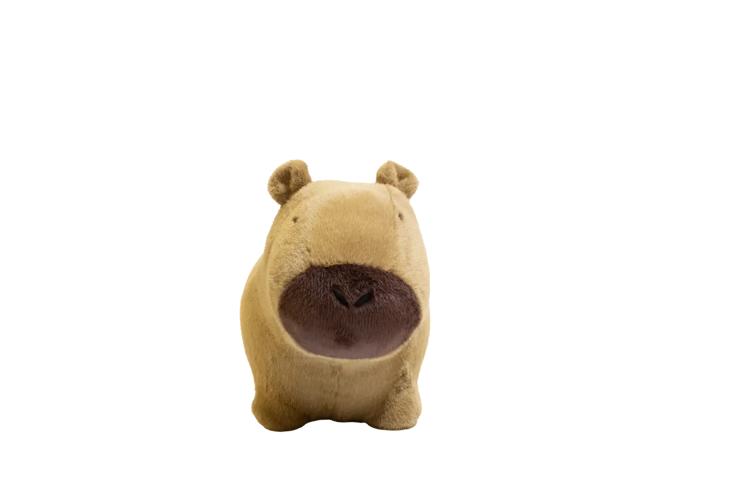 Capybara douce et rebondissante
