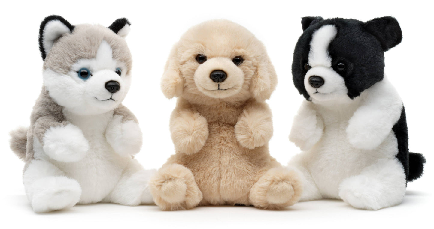 Peluche Labrador, assis kawaii Uni Toys