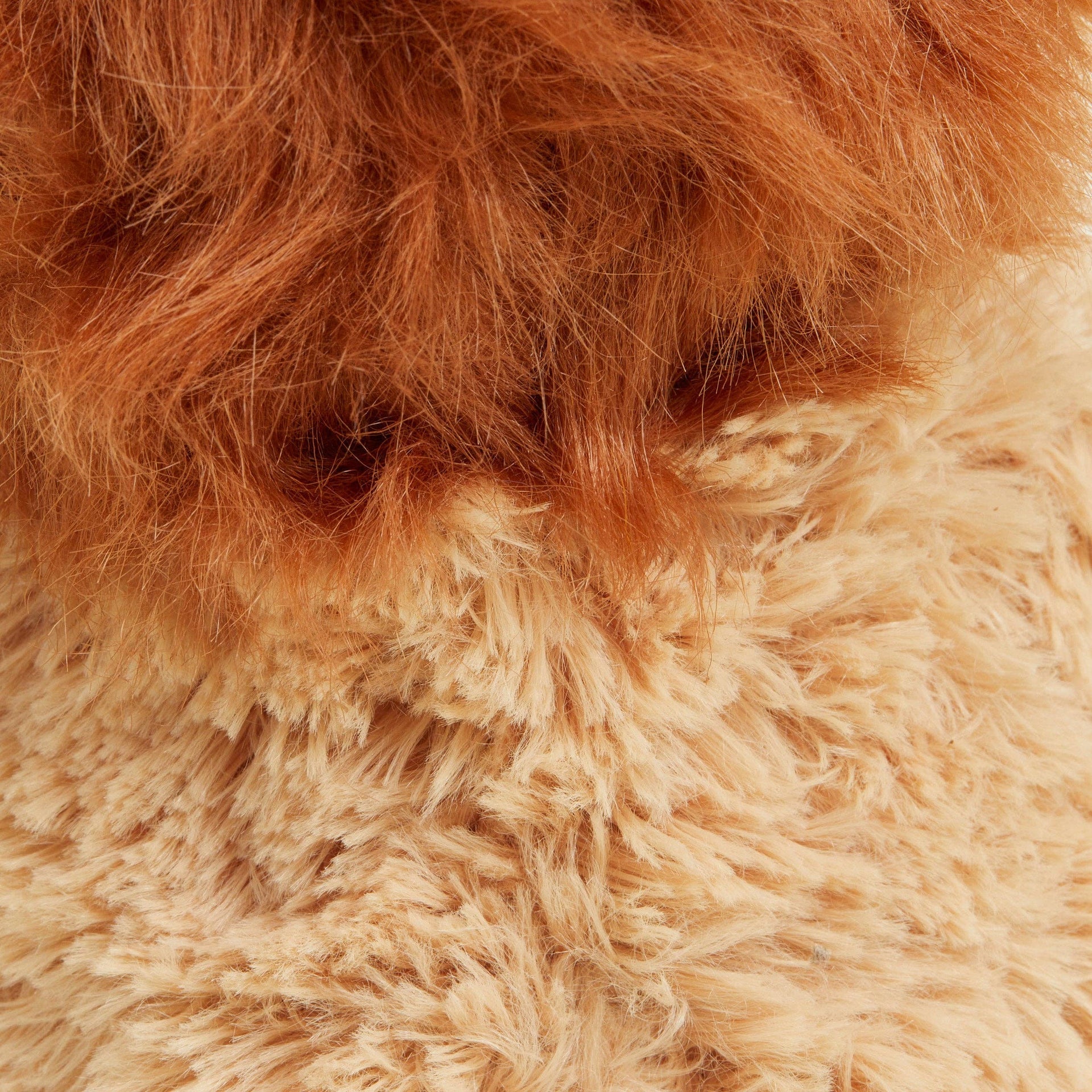 Lion déhoussable bouillotte Warmies