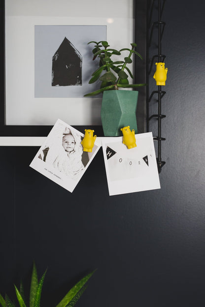 Set de 4 Magnets Ours Lou