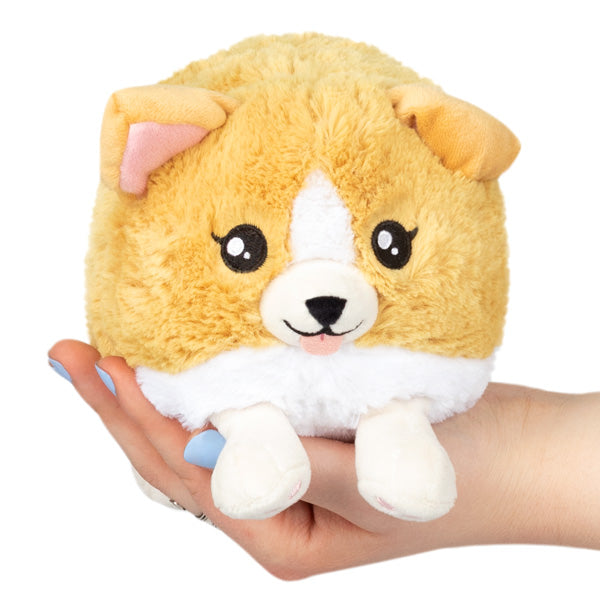Peluche Snacker Squishable – Bébé Corgi