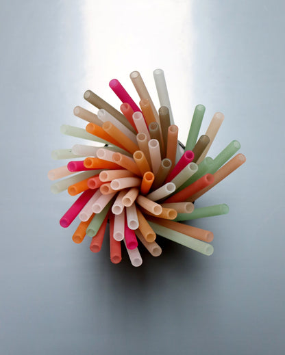 Set de 6 Pailles Enfant By Lille Vilde