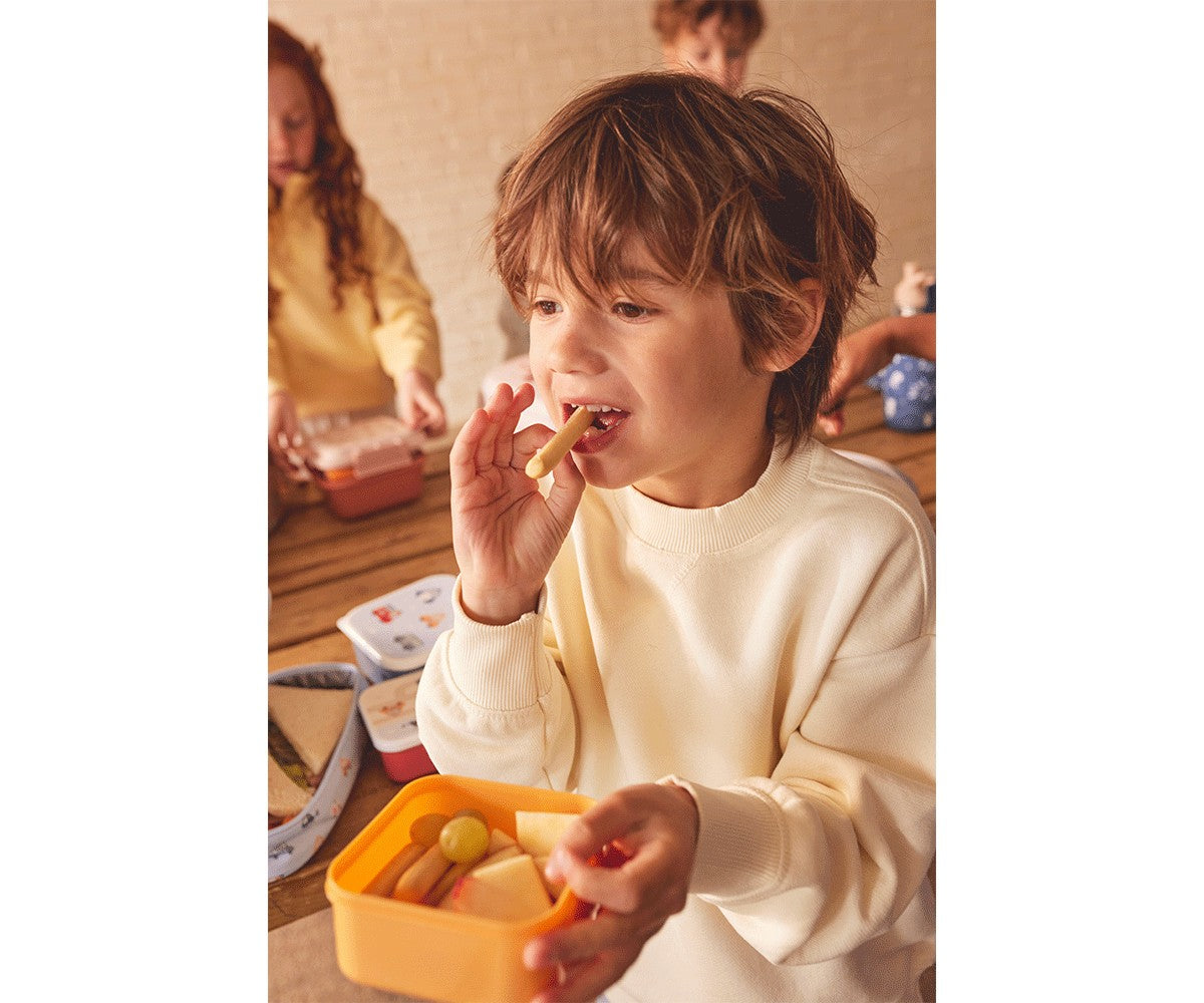 Tutete - 3 boîtes à déjeuner Petit Chaperon Rouge - vue officielle 4