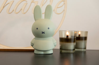 Tirelire Miffy Warm Edition S