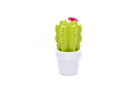 Veilleuse Cactus Fleur Dhink - OFCK.fr